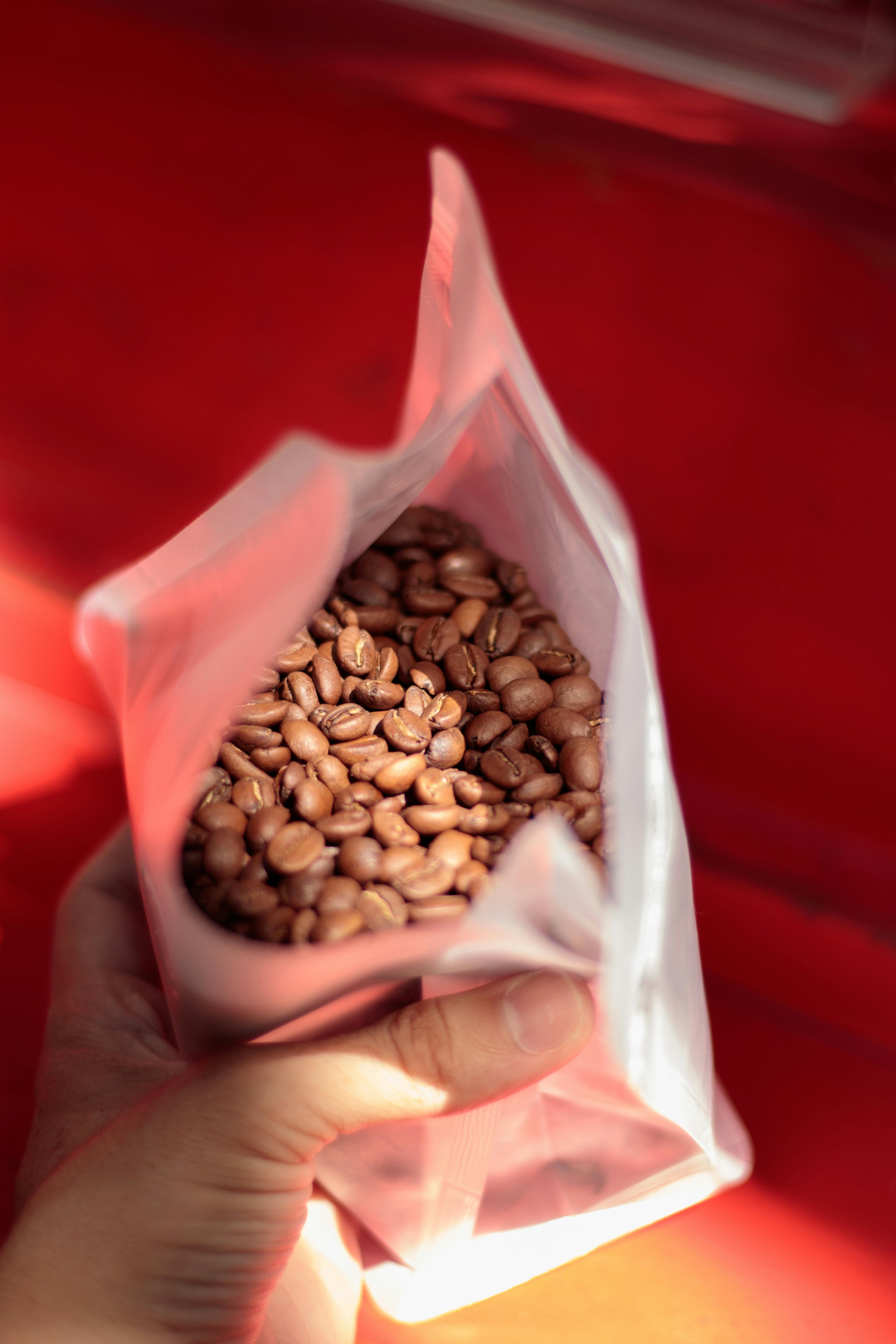 Hvornår er dine kaffebønner klar til at blive brygget?